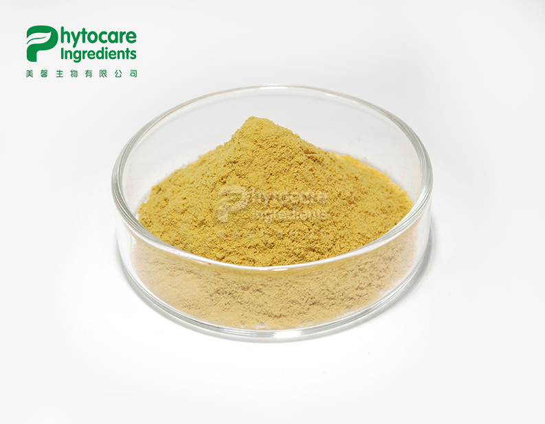 Bitter Melon Extract Powder